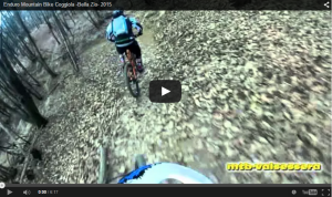 Preview-video-gallery